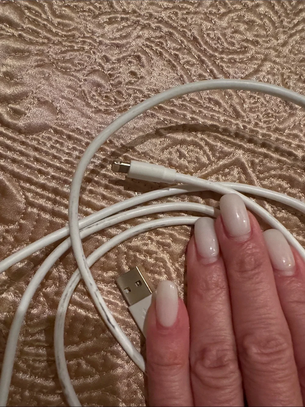 Apple White Charging Cables with Black Wall Adapter